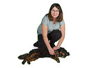 Terrier-Mischling bei der Tierphysiotherapie