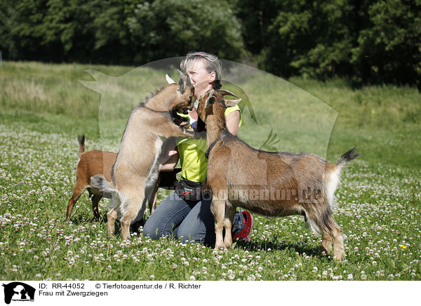 Frau mit Zwergziegen / woman with pygmy goats / RR-44052