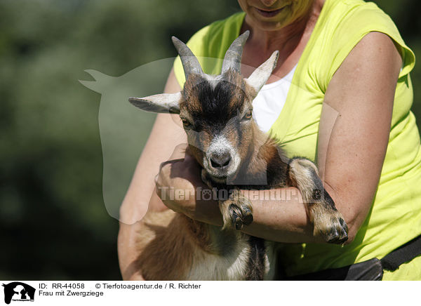 Frau mit Zwergziege / woman with pygmy goat / RR-44058