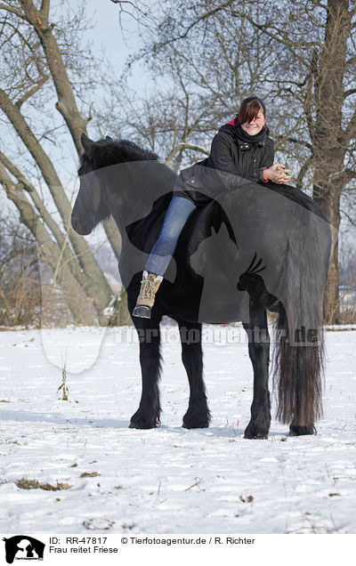 Frau reitet Friese / woman rides Frisian horse / RR-47817