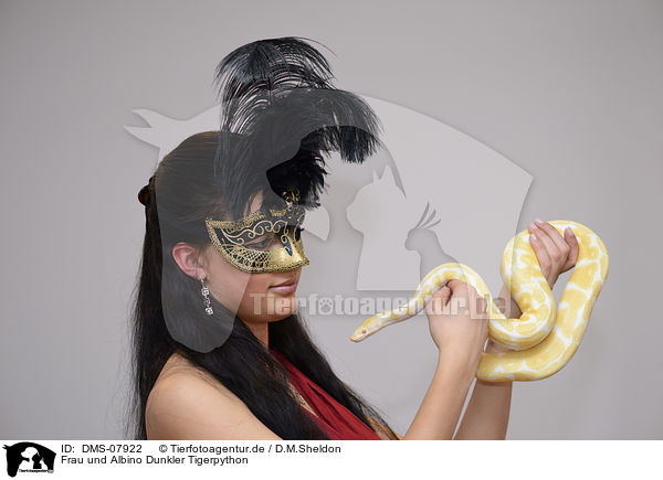 Frau und Albino Dunkler Tigerpython / woman and Albino Burmese python / DMS-07922