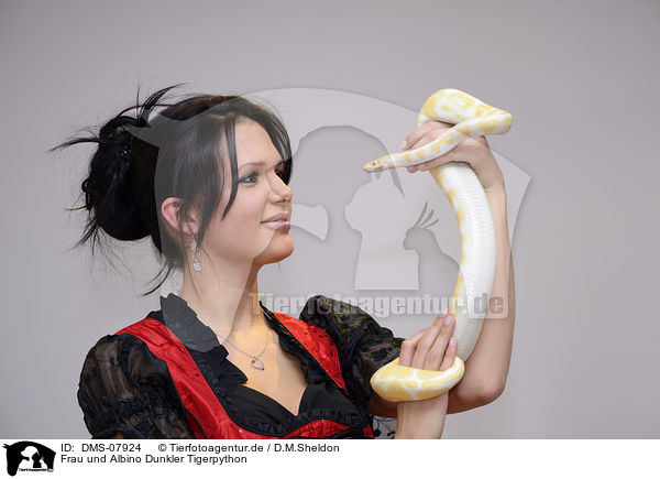 Frau und Albino Dunkler Tigerpython / woman and Albino Burmese python / DMS-07924