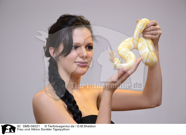 Frau und Albino Dunkler Tigerpython / woman and Albino Burmese python / DMS-08021