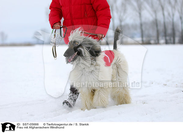 Frau mit Afghanischem Windhund / SST-05666