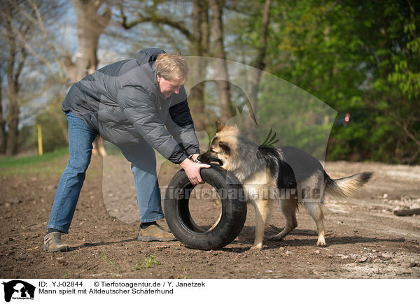 Mann spielt mit Altdeutscher Schferhund / man plays with Old German Shepherd / YJ-02844