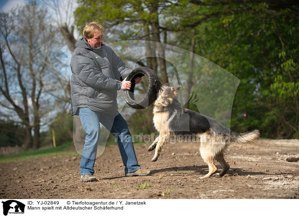 Mann spielt mit Altdeutscher Schferhund / man plays with Old German Shepherd / YJ-02849