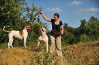 Frau und American Bulldogs