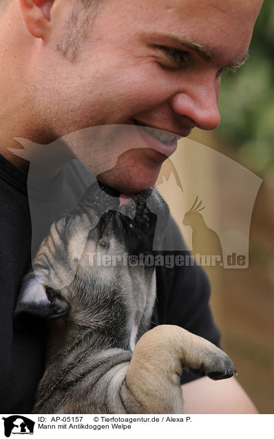Mann mit Antikdoggen Welpe / AP-05157