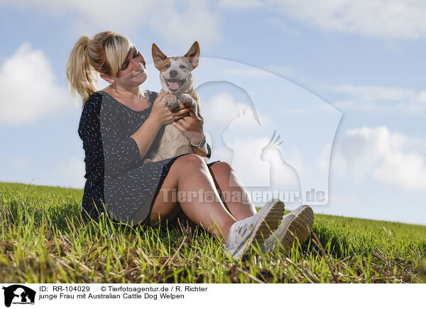 junge Frau mit Australian Cattle Dog Welpen / RR-104029