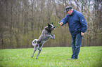 Mann und Australian Cattle Dog