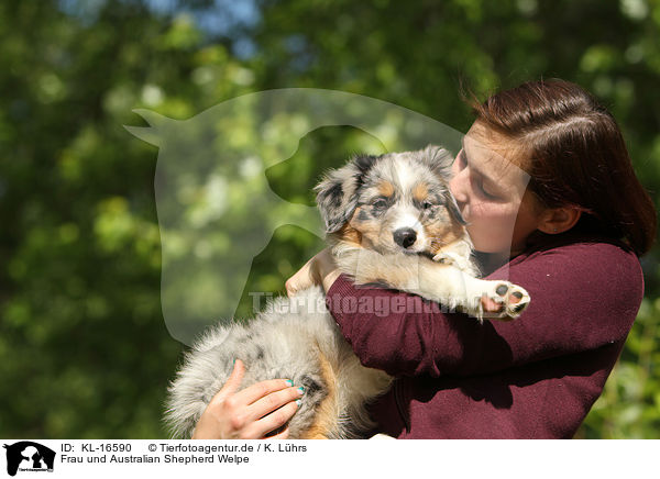 Frau und Australian Shepherd Welpe / woman and Australian Shepherd Puppy / KL-16590