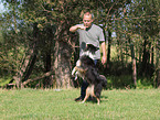 Australian Shepherd beim Dog Dance