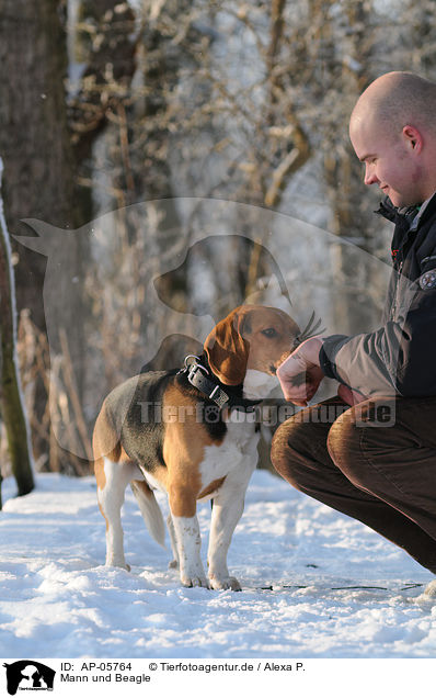 Mann und Beagle / man and beagle / AP-05764