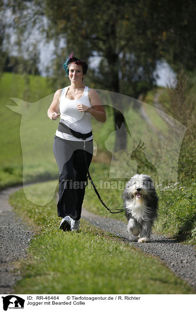 Jogger mit Bearded Collie / Jogger with Bearded Collie / RR-46464