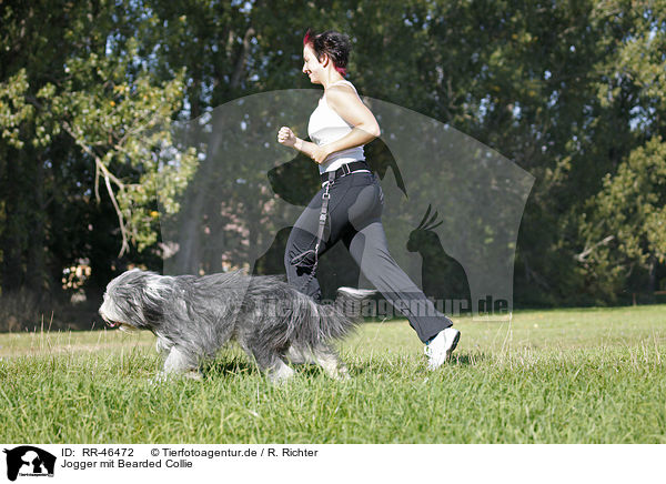 Jogger mit Bearded Collie / Jogger with Bearded Collie / RR-46472