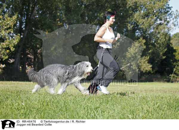 Jogger mit Bearded Collie / Jogger with Bearded Collie / RR-46476