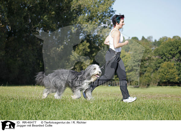 Jogger mit Bearded Collie / Jogger with Bearded Collie / RR-46477