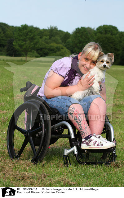 Frau und Biewer Yorkshire Terrier / woman and Biewer Yorkshire Terrier / SS-33751