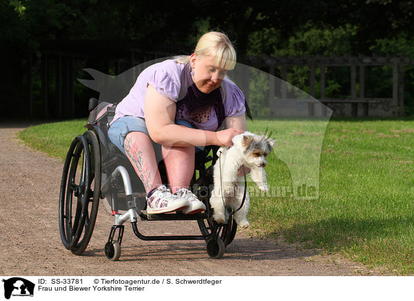 Frau und Biewer Yorkshire Terrier / woman and Biewer Yorkshire Terrier / SS-33781
