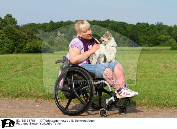 Frau und Biewer Yorkshire Terrier / woman and Biewer Yorkshire Terrier / SS-33786