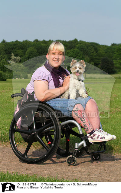 Frau und Biewer Yorkshire Terrier / woman and Biewer Yorkshire Terrier / SS-33787