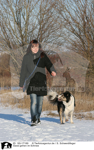 Gassi gehen im Schnee / walk the dog in the snow / SS-17189