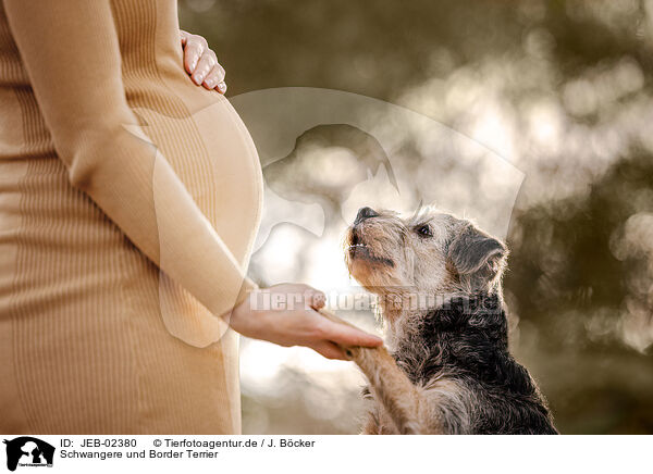 Schwangere und Border Terrier / JEB-02380