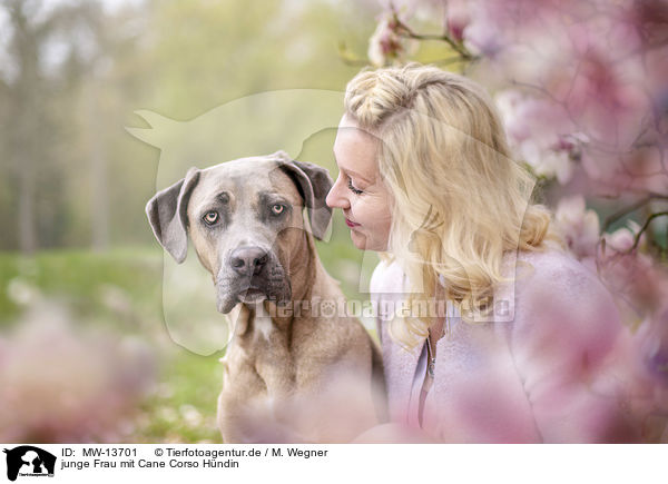 junge Frau mit Cane Corso Hndin / young woman with Cane Corso / MW-13701