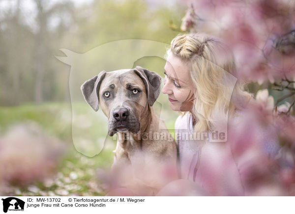 junge Frau mit Cane Corso Hndin / young woman with Cane Corso / MW-13702