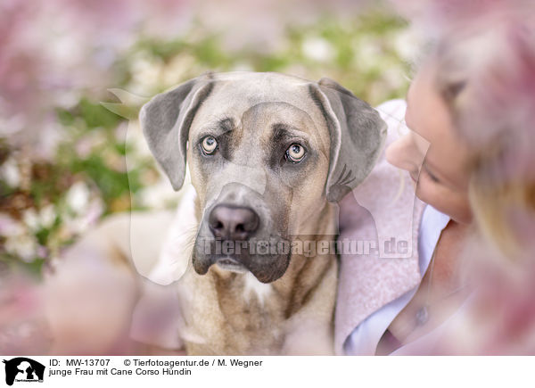 junge Frau mit Cane Corso Hndin / young woman with Cane Corso / MW-13707