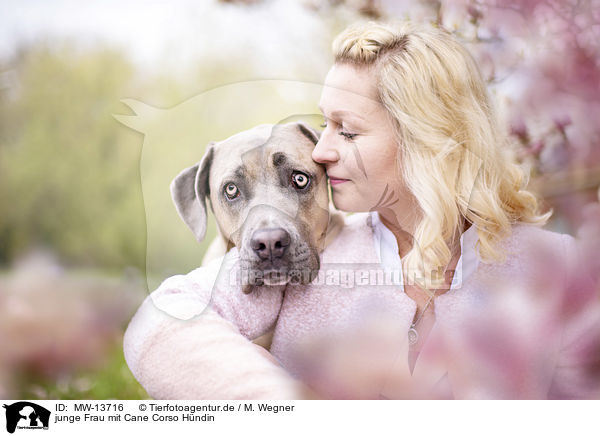 junge Frau mit Cane Corso Hndin / young woman with Cane Corso / MW-13716