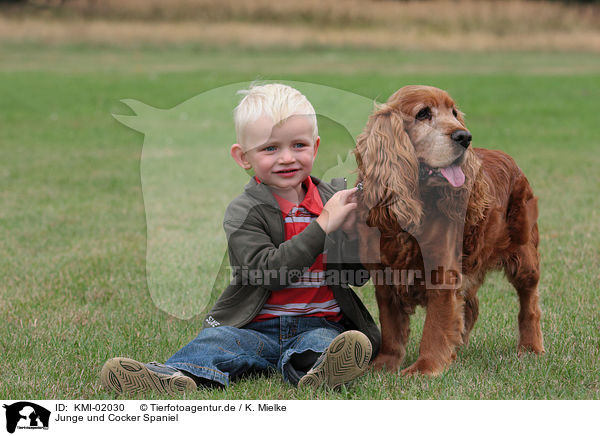 Junge und Cocker Spaniel / boy and Cocker Spaniel / KMI-02030