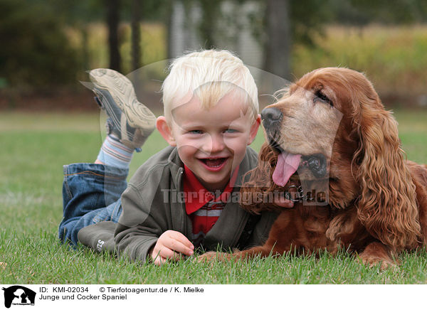 Junge und Cocker Spaniel / boy and Cocker Spaniel / KMI-02034