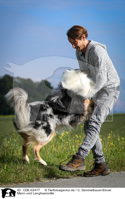 Mann und Langhaarcollie / man and longhaired Collie / CDE-02477