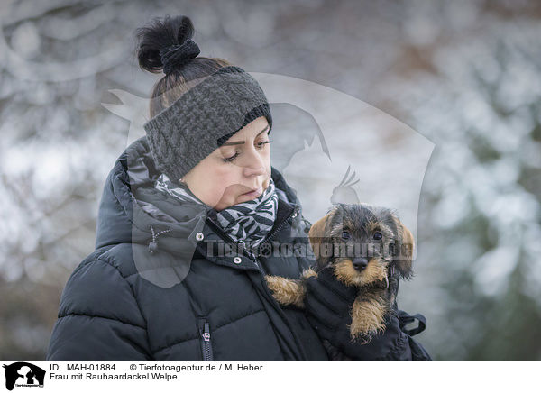 Frau mit Rauhaardackel Welpe / woman with wirehaired Dachshunds Puppy / MAH-01884