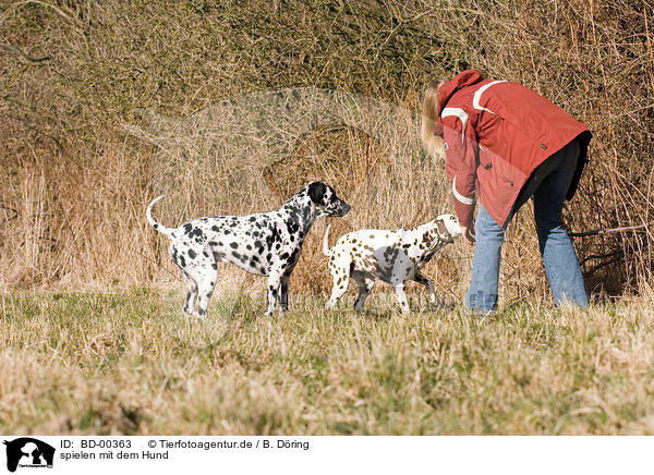 spielen mit dem Hund / play with the dog / BD-00363