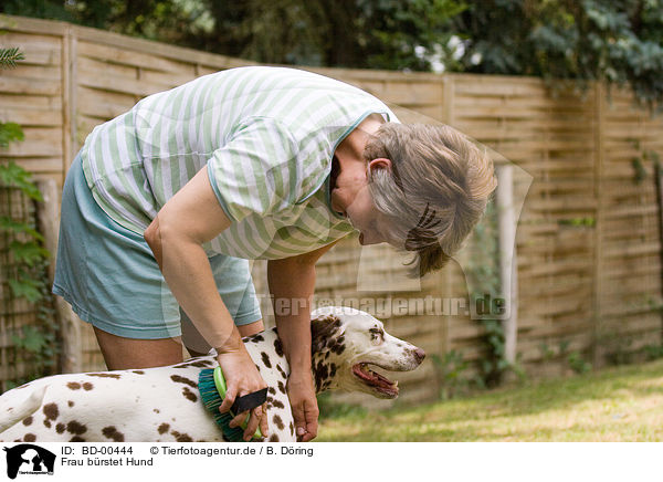 Frau brstet Hund / woman brushes dog / BD-00444