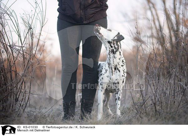 Mensch mit Dalmatiner / human with Dalmatian / KS-01030