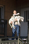 Mann trgt Dalmatiner mit Spondylose