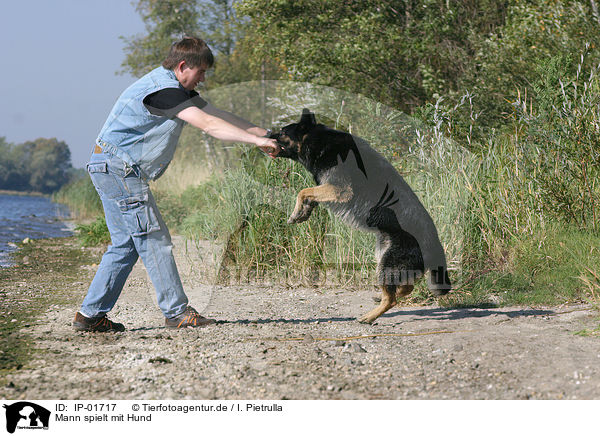 Mann spielt mit Hund / Man and dog / IP-01717