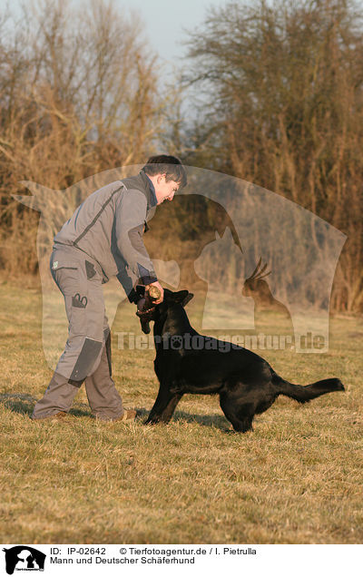 Mann und Deutscher Schferhund / man and German Shepherd / IP-02642