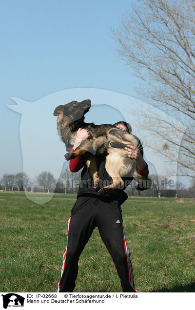 Mann und Deutscher Schferhund / man and German Shepherd / IP-02668