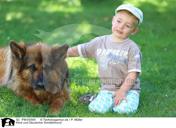 Kind und Deutscher Schferhund / PM-05585