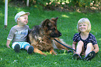 Kinder und Deutscher Schferhund