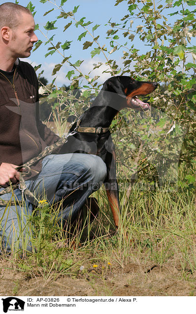 Mann mit Dobermann / man with Doberman / AP-03826