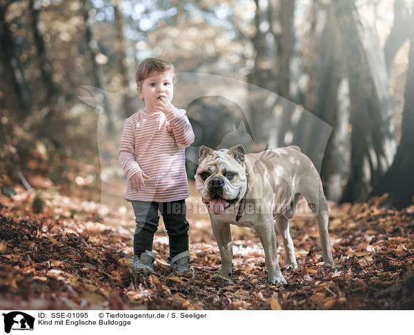 Kind mit Englische Bulldogge / Cild with English Bulldog / SSE-01095