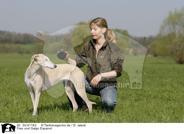 Frau und Galgo Espanol / woman and Galgo Espanol / DJ-01163