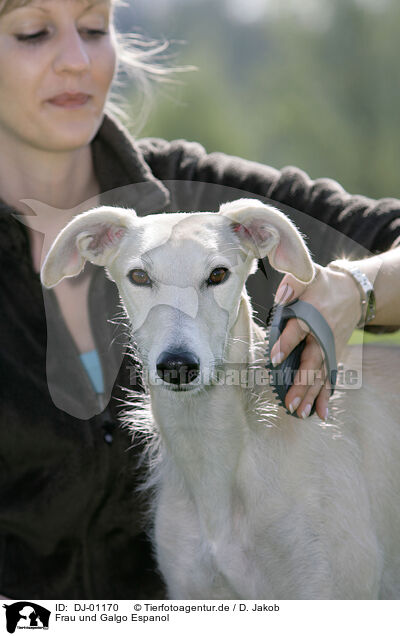 Frau und Galgo Espanol / woman and Galgo Espanol / DJ-01170