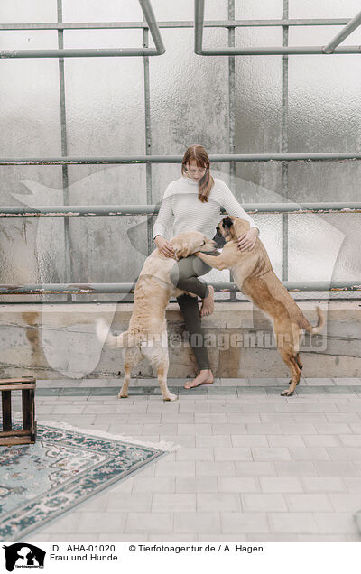 Frau und Hunde / woman and dogs, Fenster, window, windows / AHA-01020