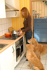 Frau fttert Golden Retriever